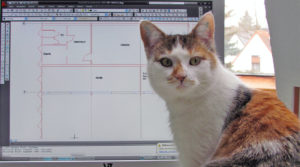 muenich_ideen_slider_katze_1080x600px