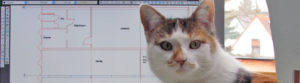 muenich_ideen_slider_katze_1440x400px