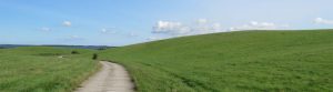 muenich_ideen_slider_huegel-mit-weg_1440x400px